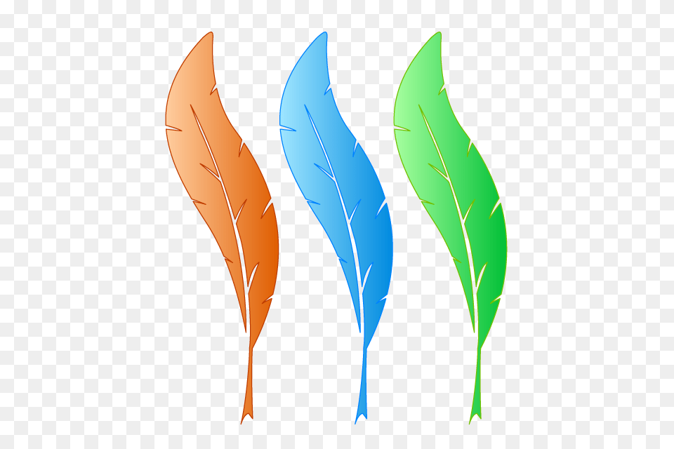 Feathers Splash Pen Colors Red Gradation Blue Green, Leaf, Plant, Art, Graphics Png Image