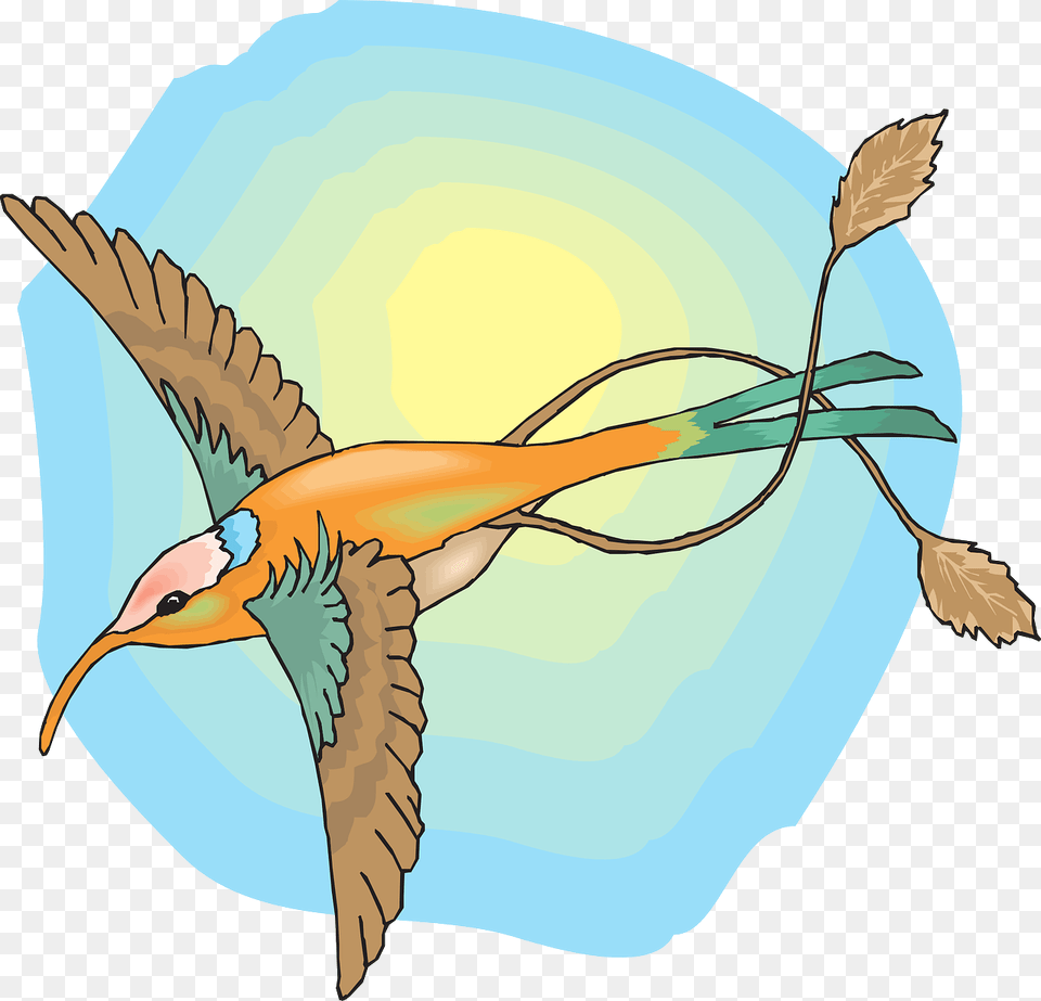 Feathers Sun Sky Bird Wings Hummingbird The With, Animal, Bee Eater, Flying, Beak Free Png