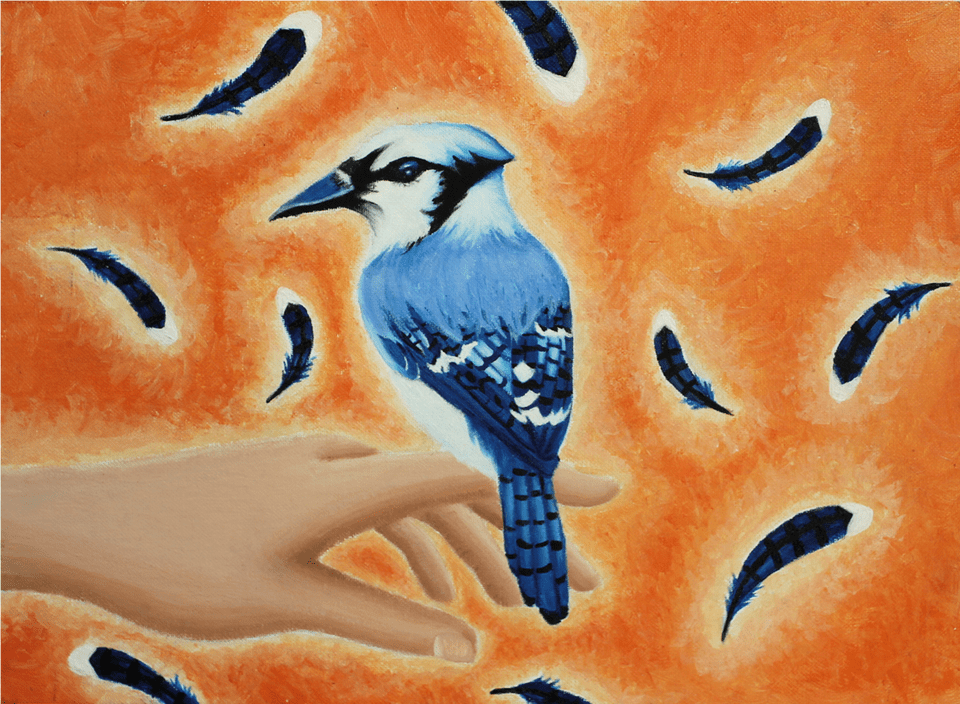 Feathery Friend Blue Jay, Animal, Bird, Blue Jay, Bluebird Png Image