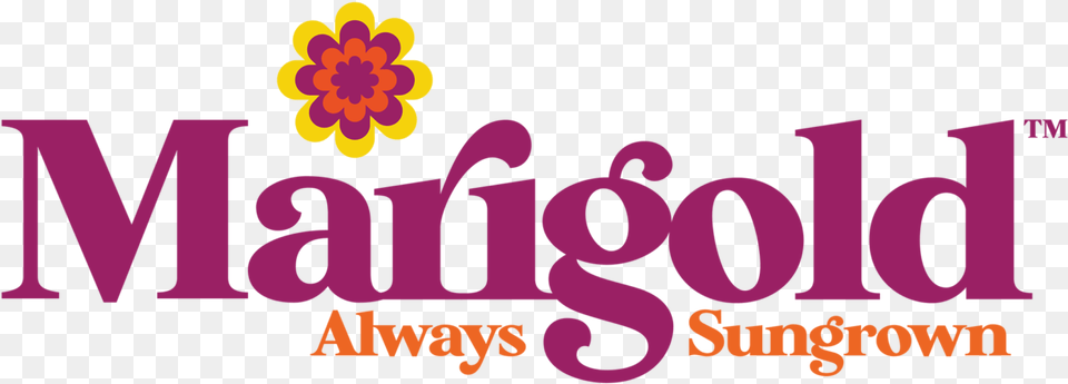 Featured Brands Marigold Sunflower, Purple, Text, Flower, Plant Png Image