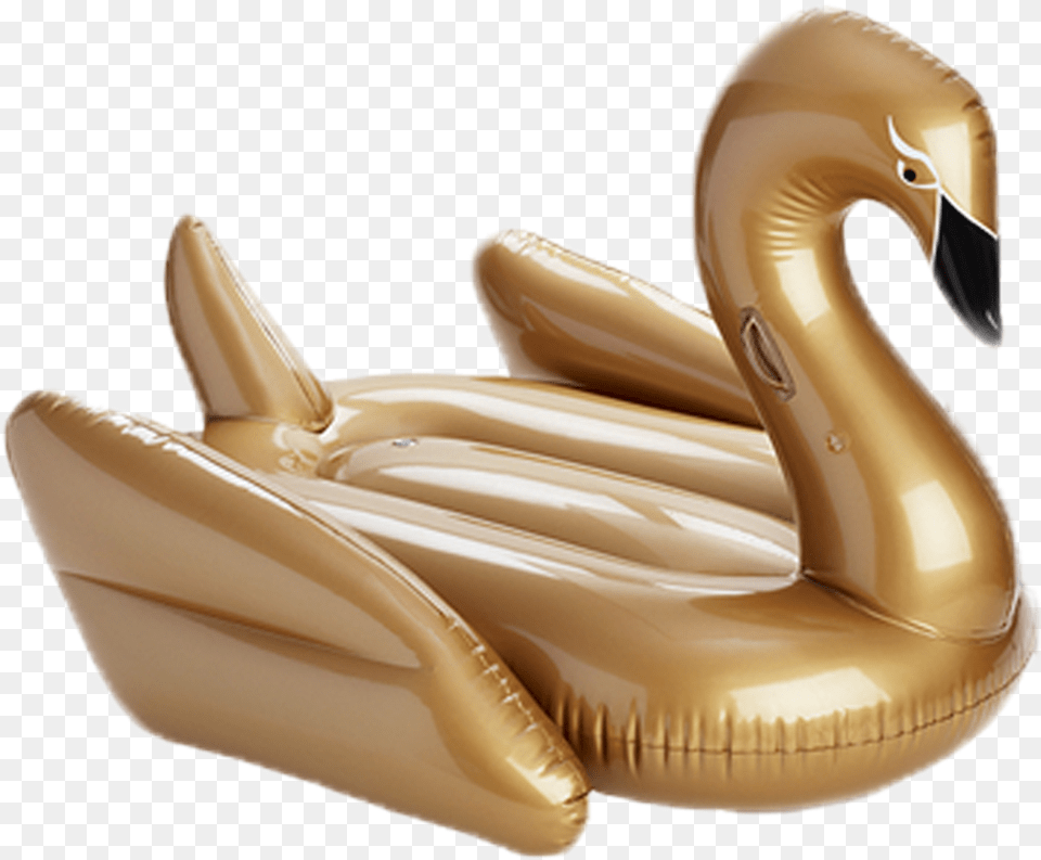 Features, Inflatable, Animal Free Transparent Png