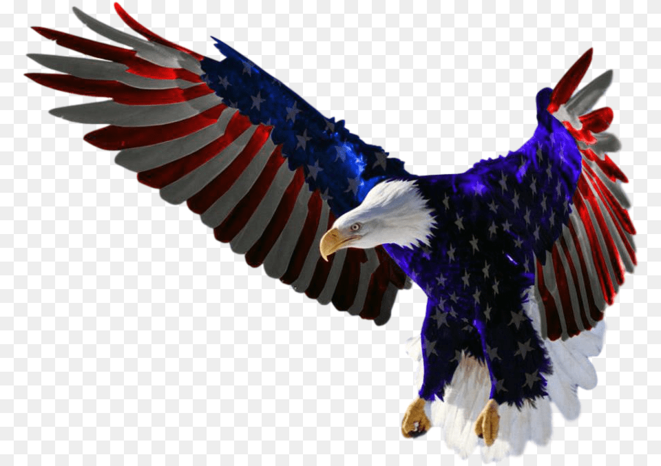 Features American Flag Eagle Clipped Rev Eagle Flying American Flag, Animal, Bird, Beak Free Png Download