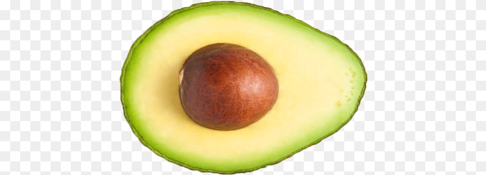 Features Avocado Avocado Transparent, Food, Fruit, Plant, Produce Free Png Download