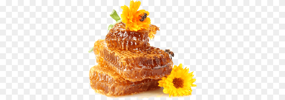 Features Honey Balm Allnatural Beeswax Lip Balm, Food, Honeycomb, Animal, Bee Png Image