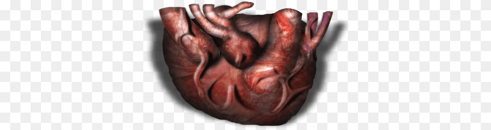 Feb 2009 Gore, Body Part, Finger, Hand, Person Free Png Download