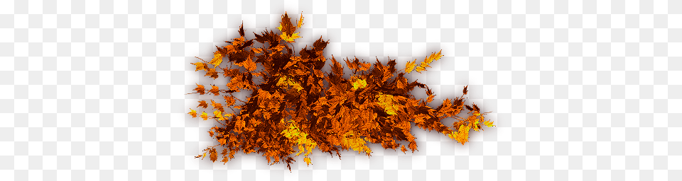 Feb 2009 Maple Leaf, Fire, Flame, Mountain, Nature Png