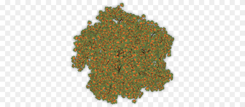 Feb 2009 Tree, Plant, Pollen, Vegetation, Pattern Png