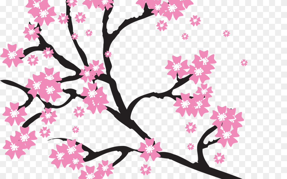 February Flower Background Clip Art Gardening Flower And Vegetables, Plant, Cherry Blossom, Pattern Free Transparent Png