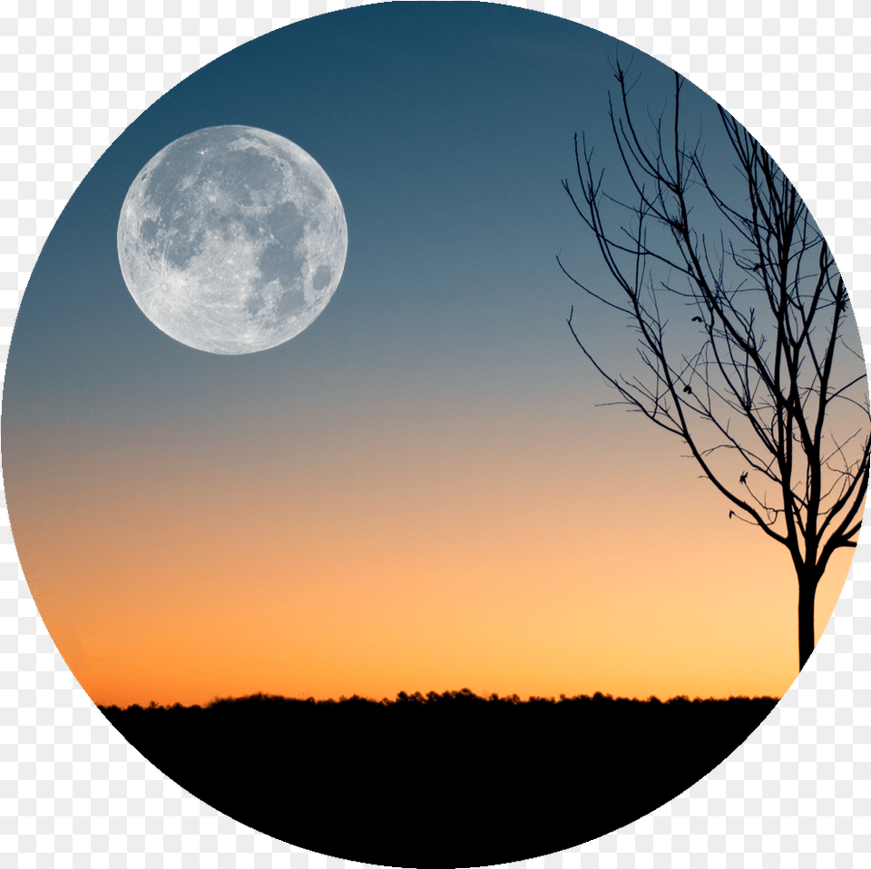 February Full Moon 2019, Astronomy, Full Moon, Nature, Night Free Transparent Png