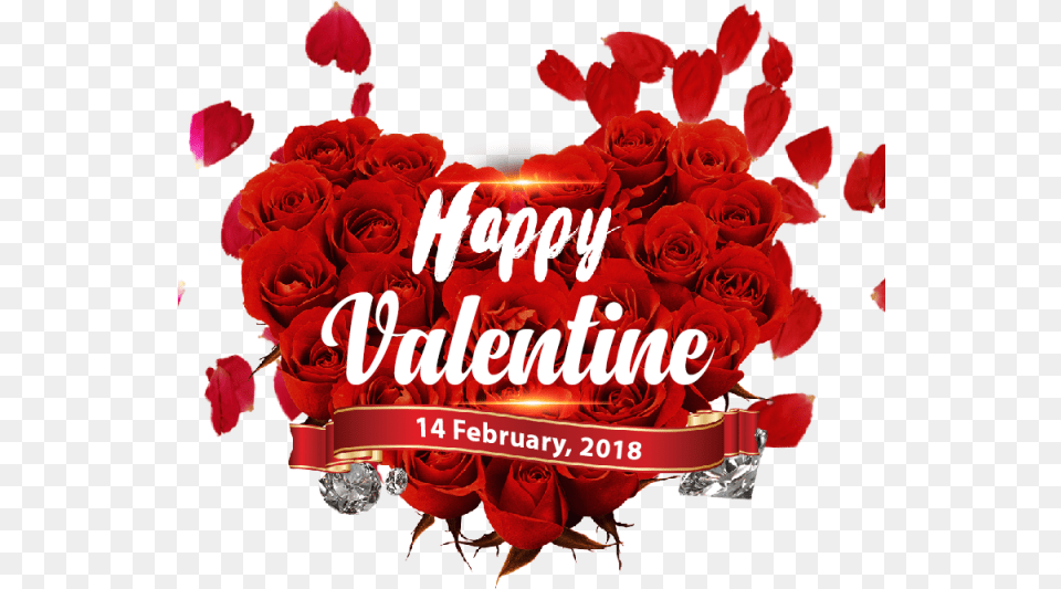 February Valentinequots Day 14 Happy Hq Image Clipart, Rose, Plant, Petal, Flower Free Transparent Png