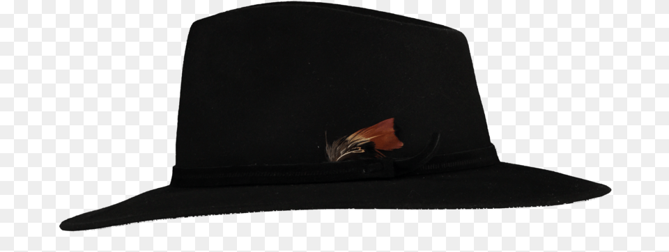 Fedora, Clothing, Hat, Sun Hat Png Image