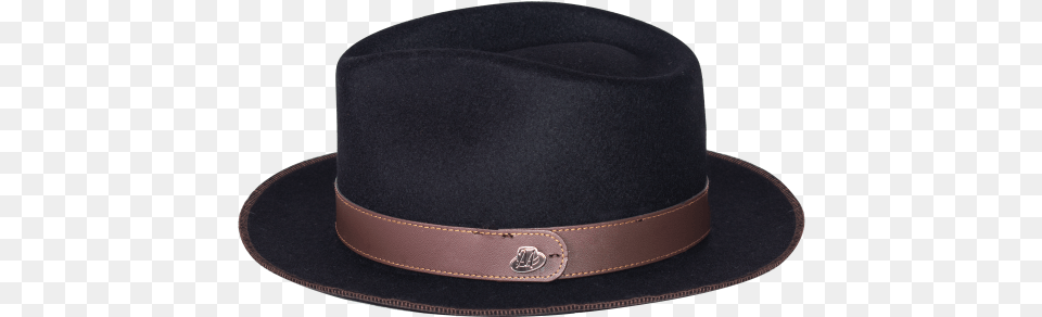 Fedora, Clothing, Hat, Cowboy Hat Free Transparent Png