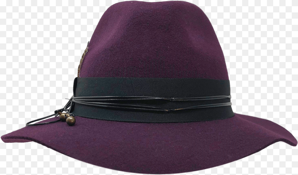 Fedora, Clothing, Hat, Sun Hat, Cap Free Transparent Png