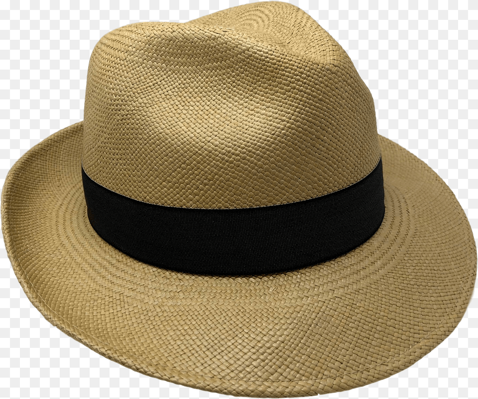 Fedora, Clothing, Hat, Sun Hat Free Png