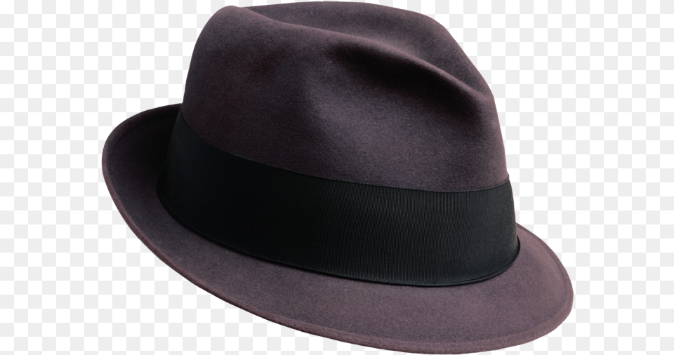 Fedora, Clothing, Hat, Sun Hat Free Png Download