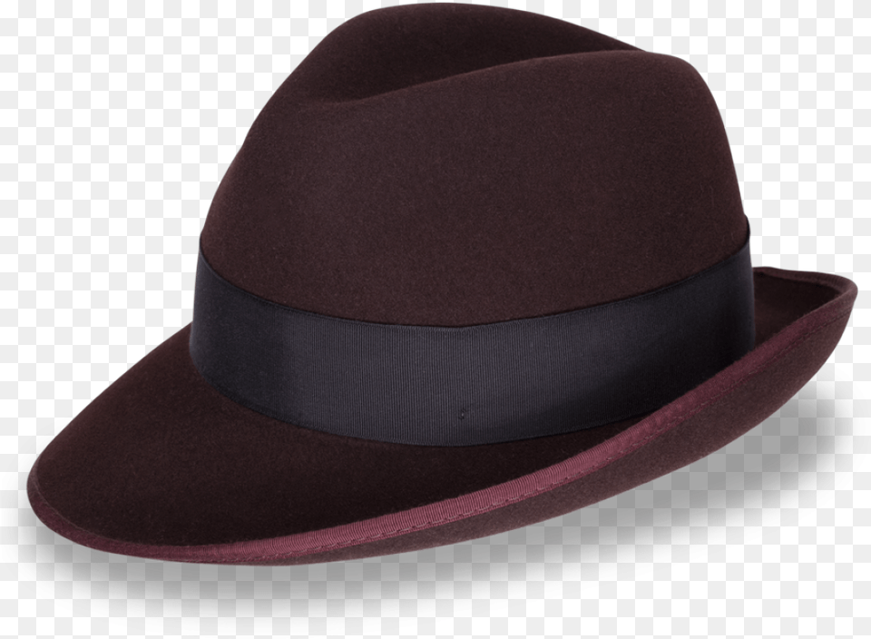 Fedora, Clothing, Hat, Sun Hat, Cowboy Hat Free Transparent Png