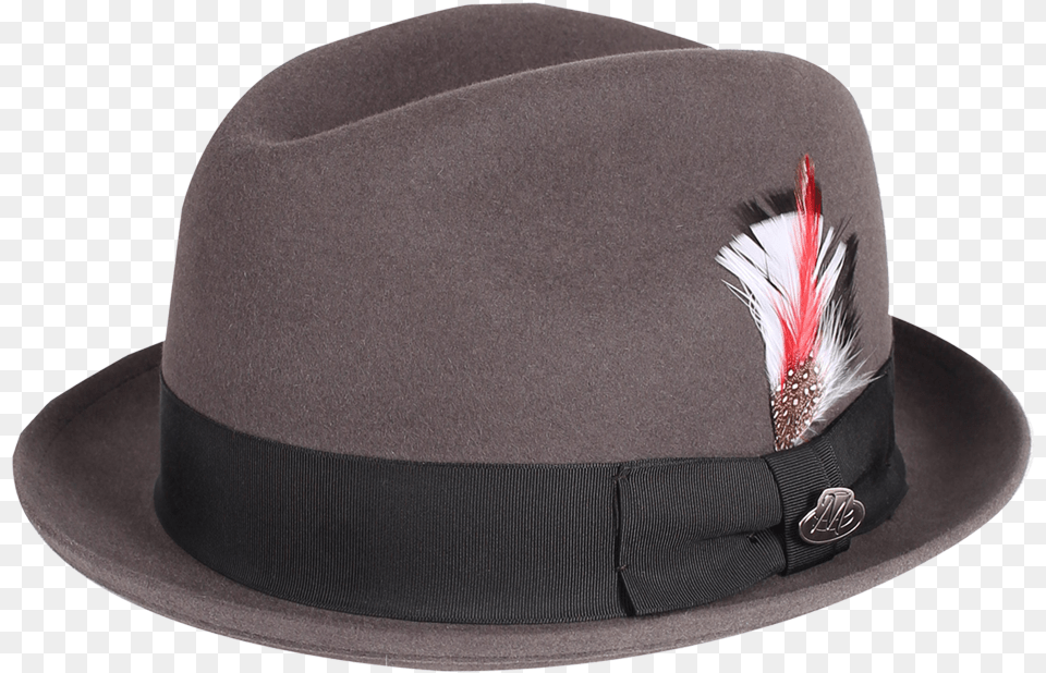 Fedora, Clothing, Hat, Sun Hat Free Transparent Png