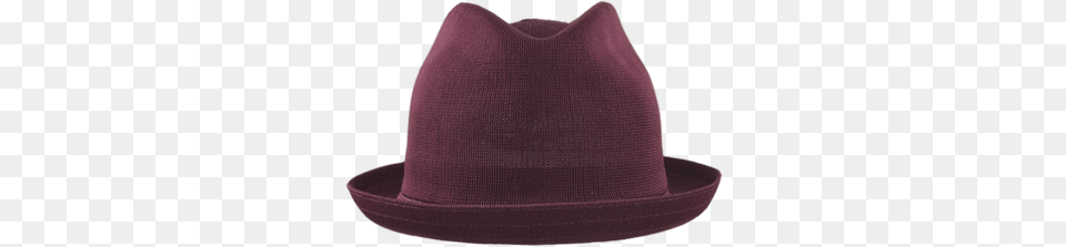 Fedora, Clothing, Hat Free Transparent Png