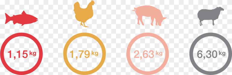 Feed Conversion Ratio Illustration Chicken, Animal, Bird, Poultry, Fowl Free Transparent Png