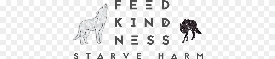 Feed Kindness Stallion, Animal, Coyote, Mammal, Person Png