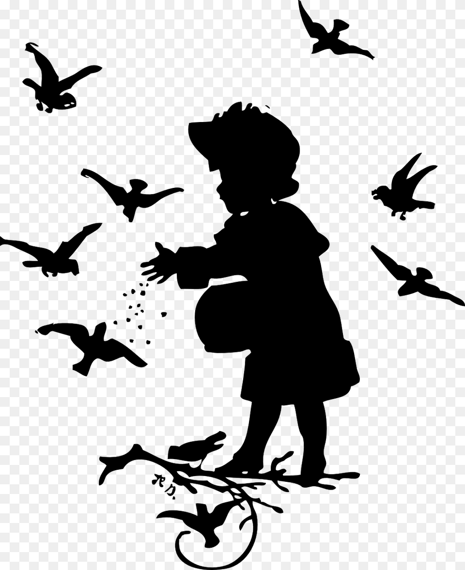 Feed The Birds Clip Art, Gray Free Png