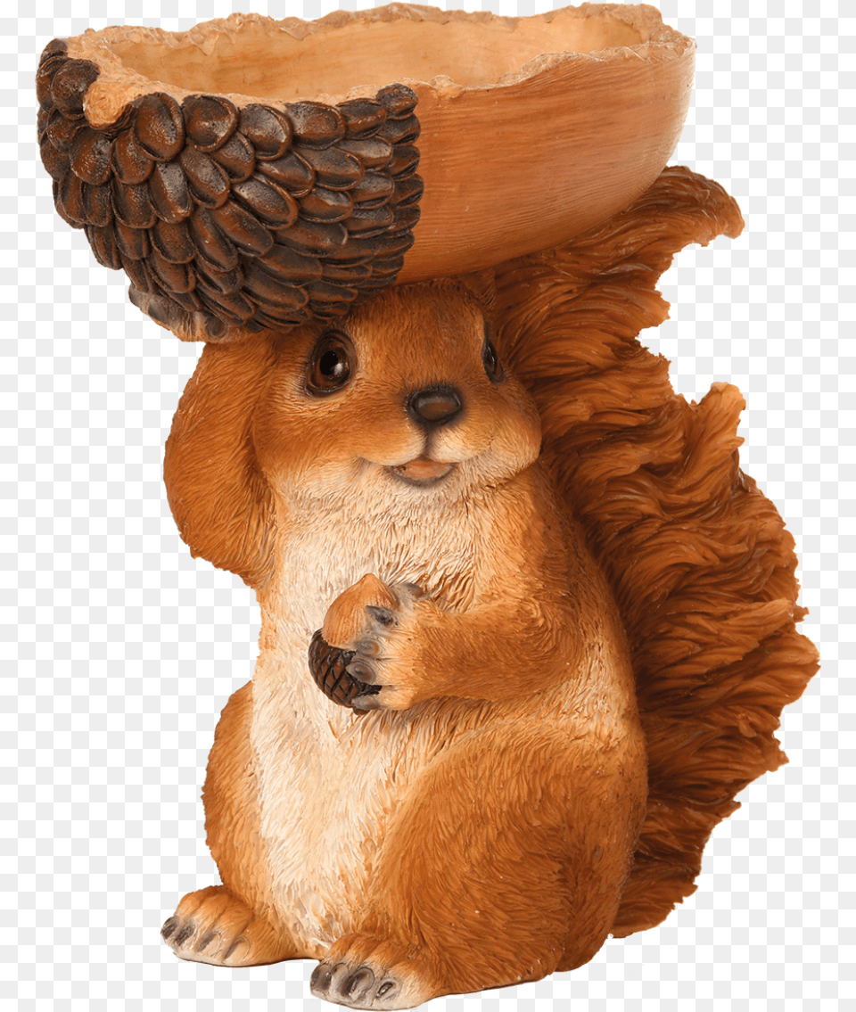 Feeding Bowl Squirrel, Animal, Bear, Mammal, Wildlife Free Transparent Png