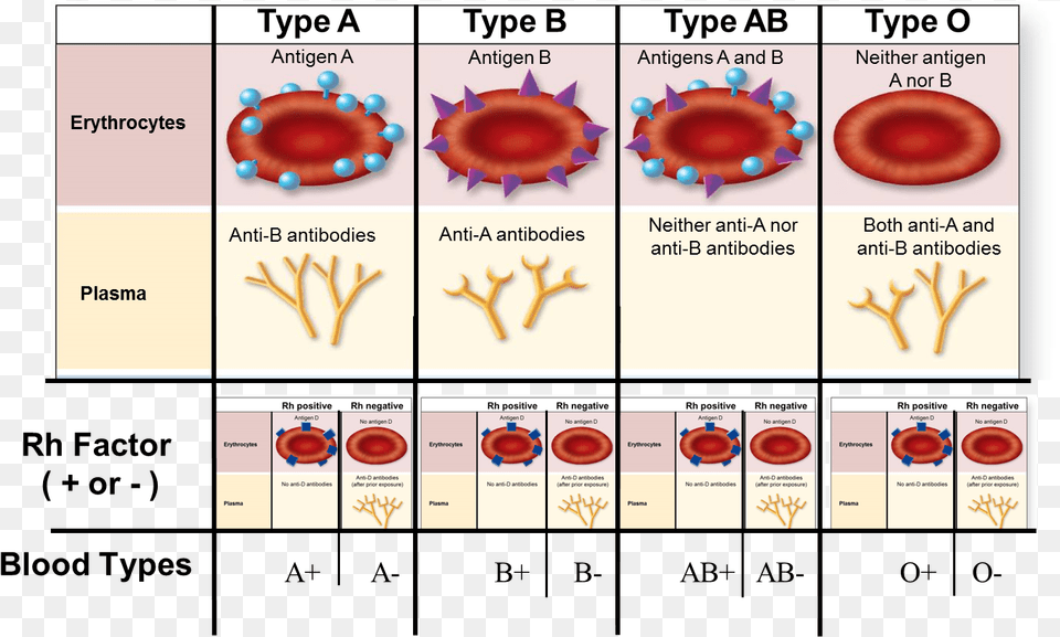 Feel To Reference The Below Chart That I Made Abo System, Text, Toy Free Png