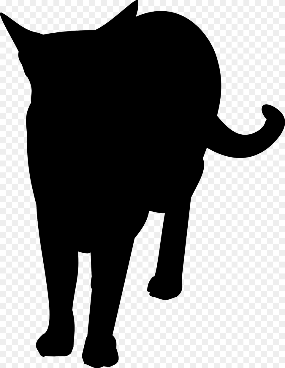 Feel Free To Use This Cat Silhouette For Your Own Projects Domestic Short Haired Cat, Gray Png