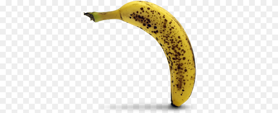 Feelingkind Of Rotten Saba Banana, Food, Fruit, Plant, Produce Free Png