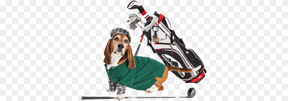 Fees Range Balls Cart And One Raffle Ticket Basset Hound, Animal, Canine, Dog, Mammal Free Transparent Png