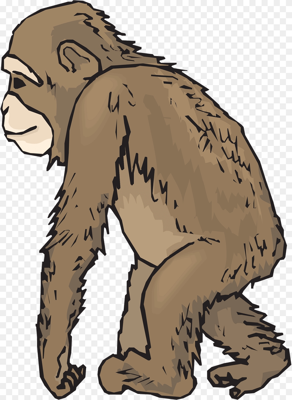 Feet Clipart, Animal, Ape, Mammal, Wildlife Png