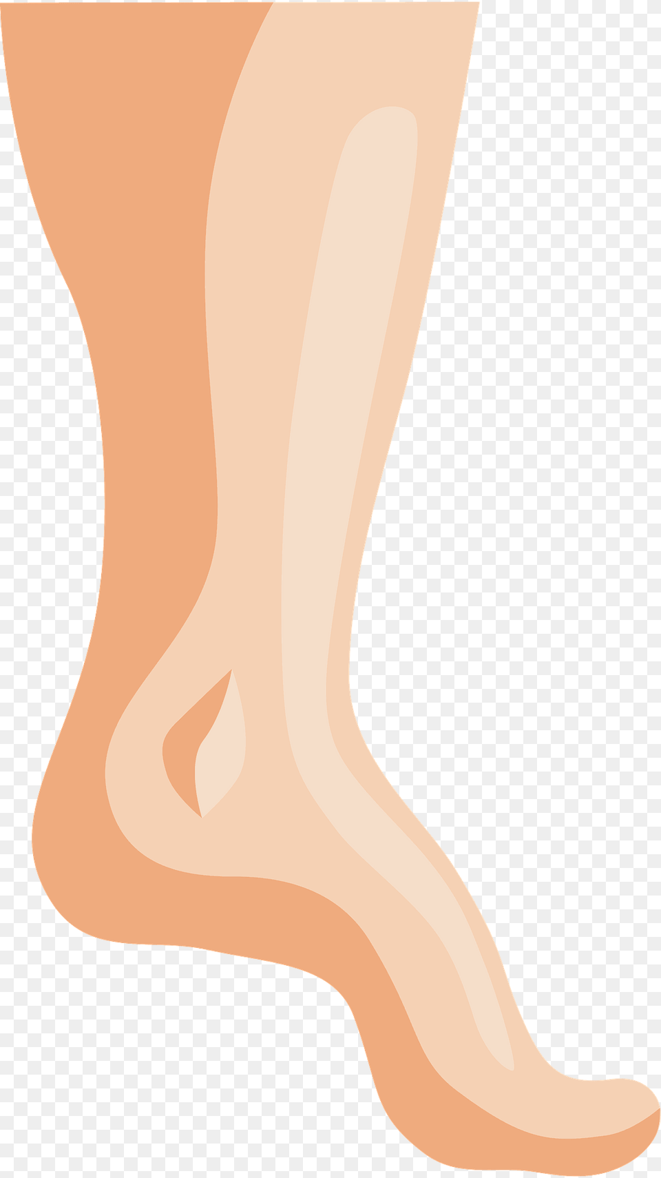 Feet Clipart, Ankle, Body Part, Person, Skin Png