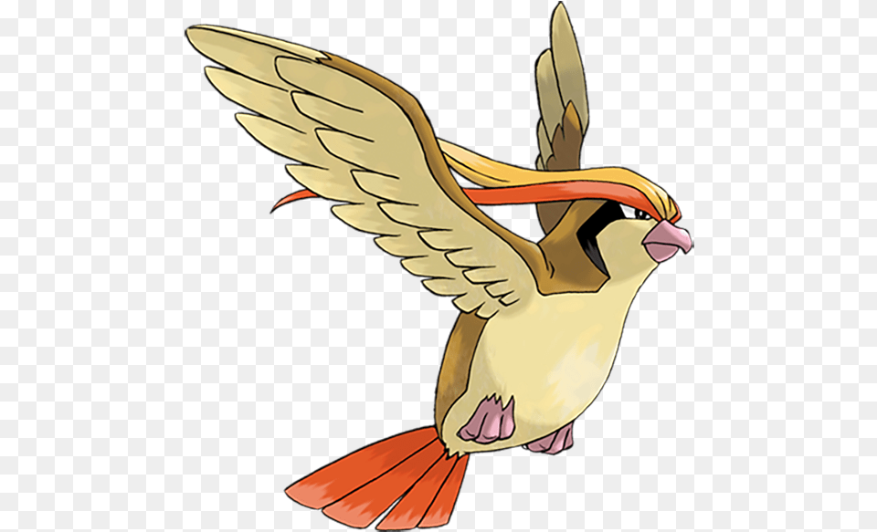 Feet Clipart Woodpecker Transparent Pokemon Pidgeot, Animal, Beak, Bird, Flying Free Png Download
