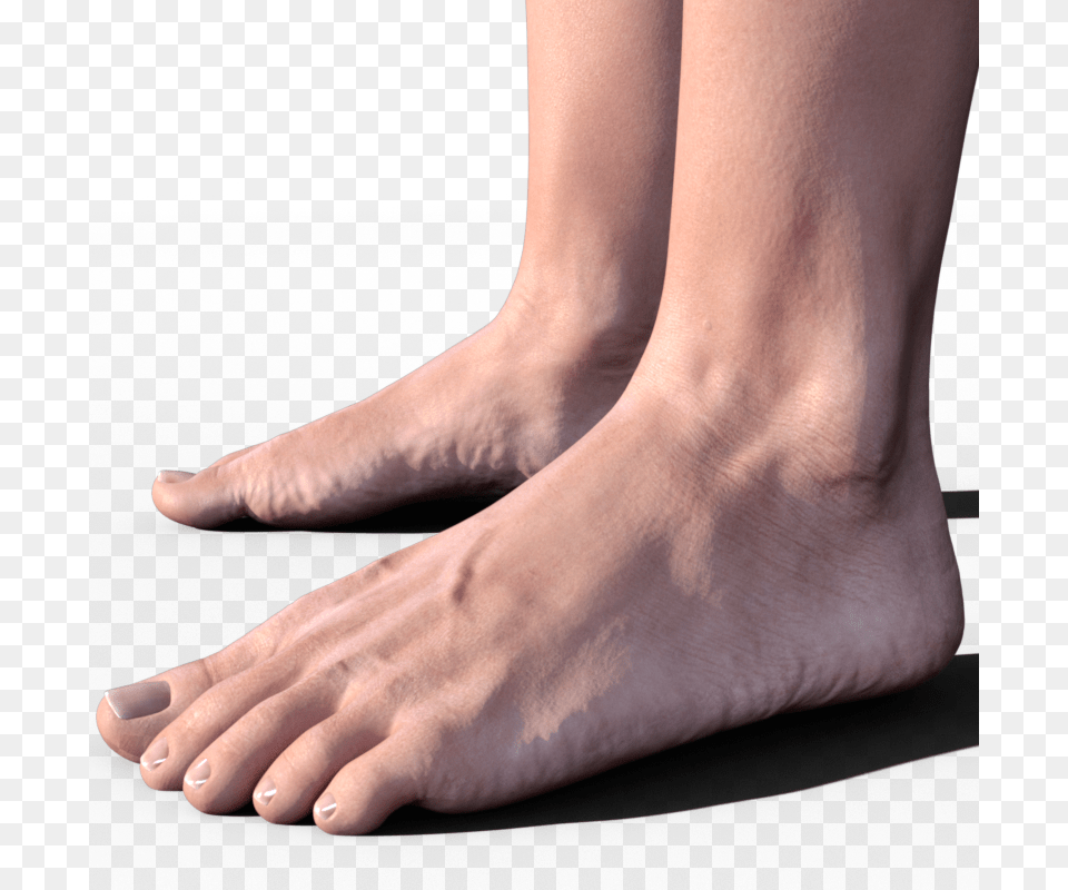 Feet Hd Transparent Feet Hd Daz3d Victoria 6 Feet, Ankle, Body Part, Person, Adult Png Image