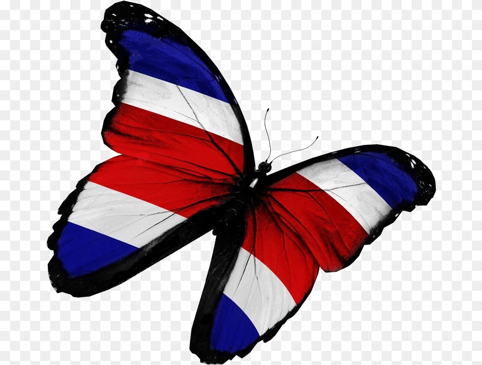 Felices Fiestas Patrias Imagenes De Bandera Cubana, Flag Free Transparent Png