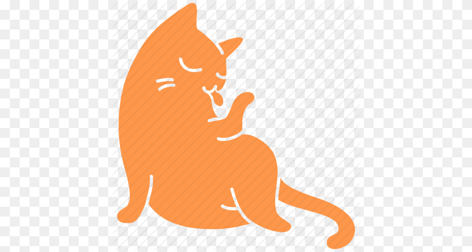 Feline Clipart Ginger Cat, Baby, Person, Animal, Mammal Png Image