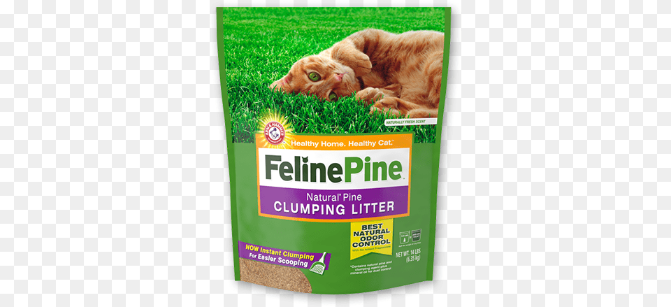 Feline Pine Natural Pine Scoop Able Clumping Cat Litter Feline Pine Natural Cat Litter, Herbs, Plant, Grass, Herbal Png