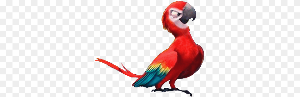 Felipe Heroes And Villians Wiki Fandom Rio 2 Red Bird, Animal, Parrot, Macaw, Adult Png Image