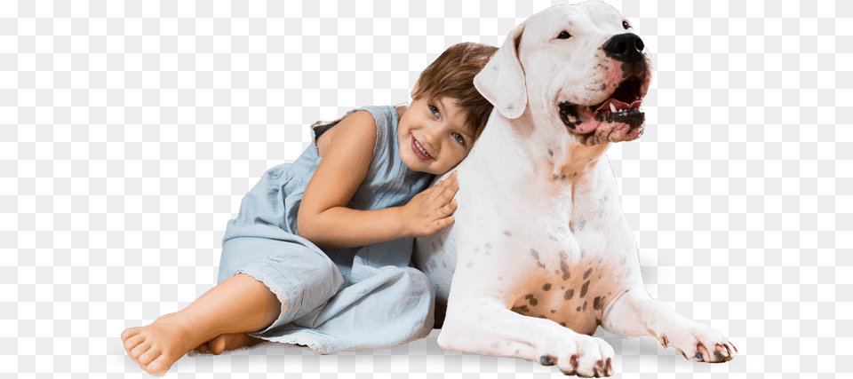 Feliz Dia Das Pet, Boy, Child, Male, Person Png Image