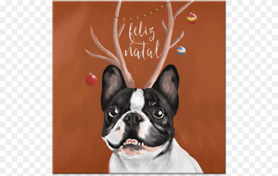 Feliz Natal De Olivana French Bulldog, Animal, Canine, Dog, Mammal Free Png