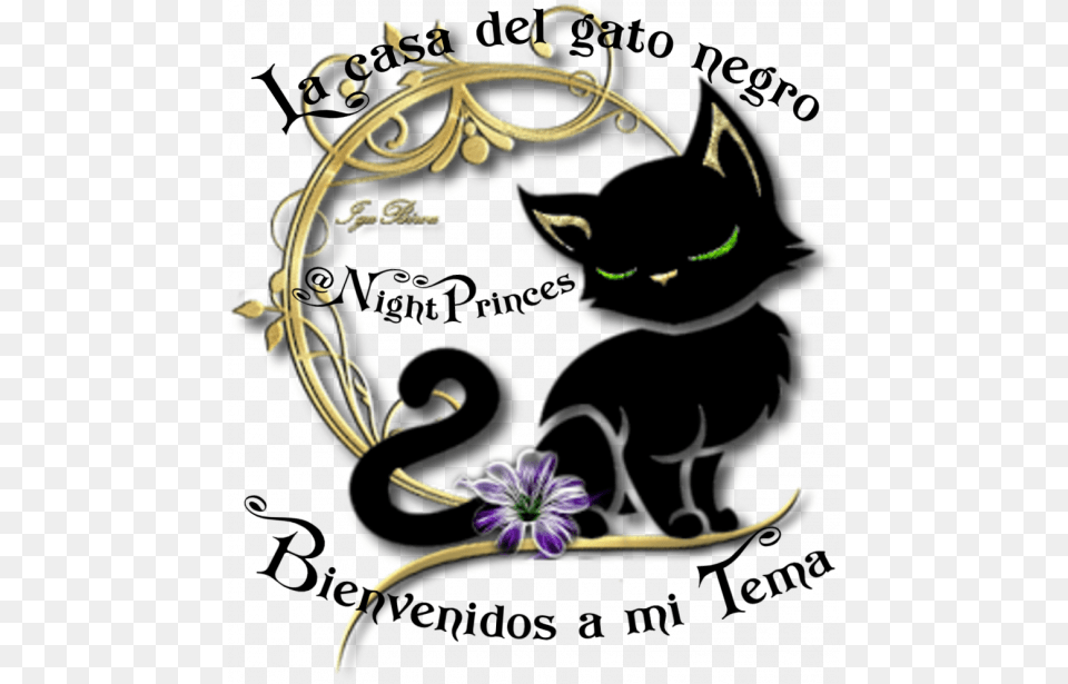 Feliz Sergio Skywalker2214 Dia Internacional De La Mujer Con Gato, Graphics, Art, Pattern, Floral Design Free Png