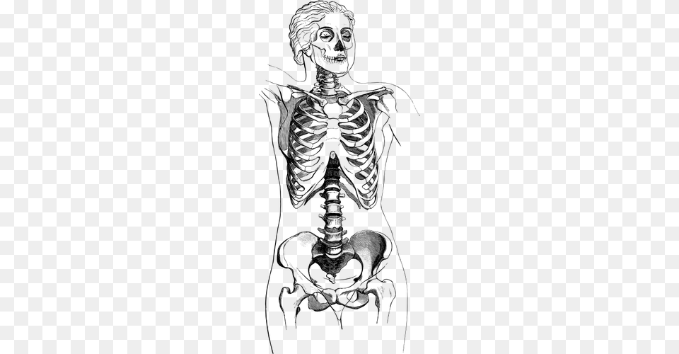 Female Body Skeleton Skeleton Body, Gray Free Transparent Png