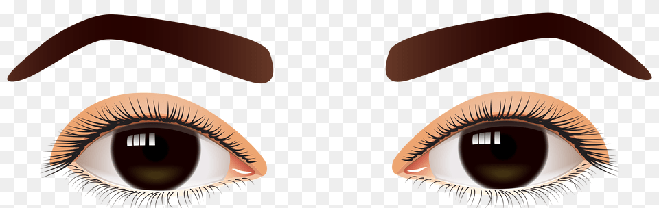 Female Brown Eyes Clip Art, Collage Free Transparent Png