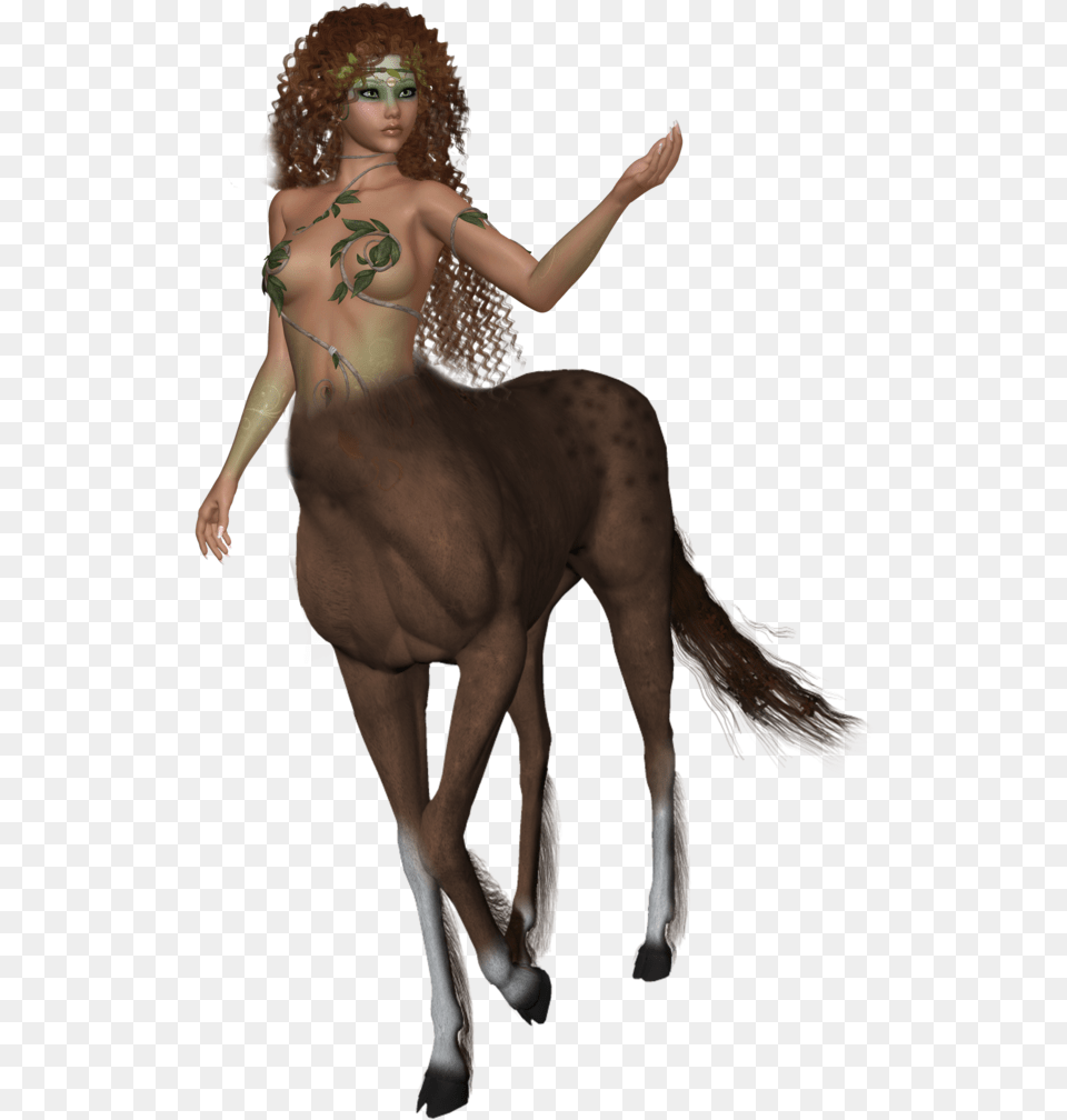 Female Centaur Images Centaur, Adult, Person, Body Part, Back Free Transparent Png