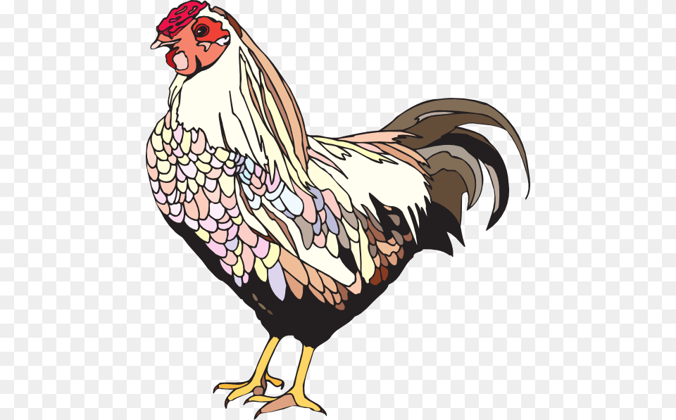 Female Chicken, Animal, Bird, Poultry, Fowl Free Png Download