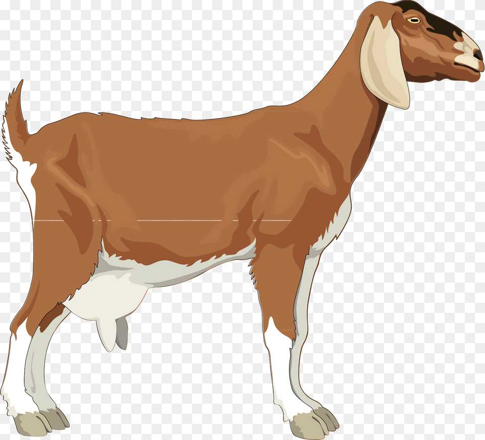 Female Clipart, Livestock, Animal, Mammal, Goat Free Png Download