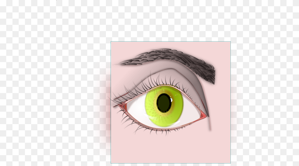 Female Eye And Eyebrow Clip Art At Clip Art, Disk, Drawing Free Transparent Png