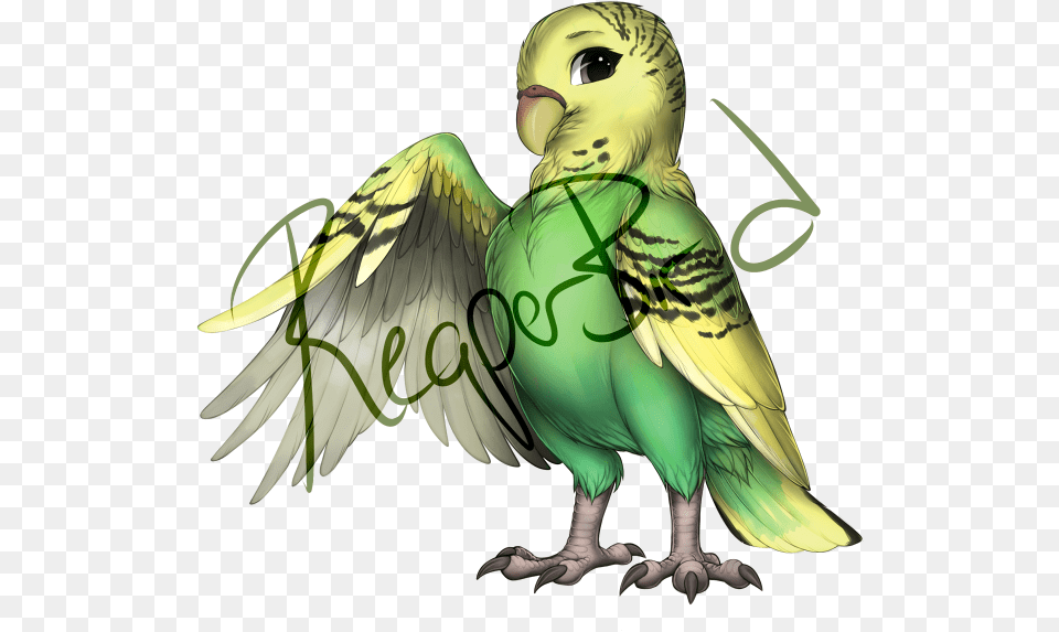 Female Green Budgie Portable Network Graphics, Animal, Bird, Parakeet, Parrot Png Image