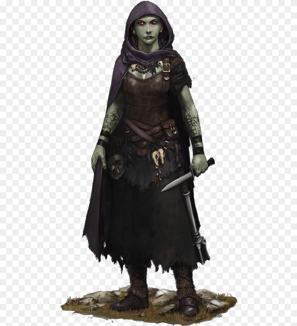 Female Half Orc Rogue Dnd Half Orc Rogue, Adult, Person, Woman, Fashion Png Image