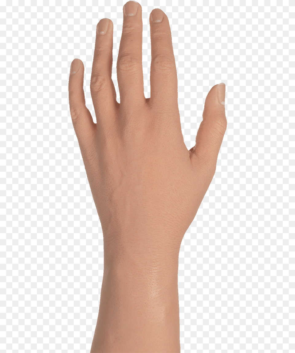 Female Hand Male Hand, Body Part, Finger, Person, Wrist Png Image